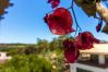 Apartamento em Albufeira - Falésia Beach Apartment by D'Alma Portuguesa