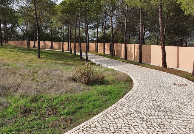 Apartamento em Albufeira - Apartamento do Pinhal by D'Alma Portuguesa Apartamento em Albufeira - Apartamento do Pinhal by D'Alma Portuguesa